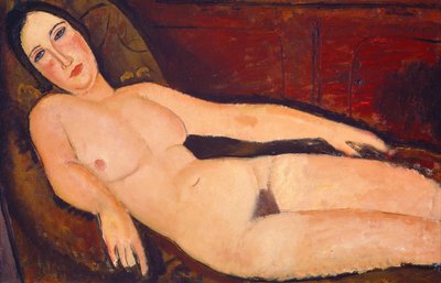 Nudo su un Divano da Amedeo Modigliani